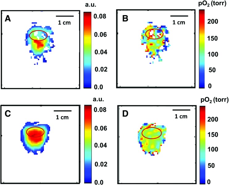 FIG. 2.