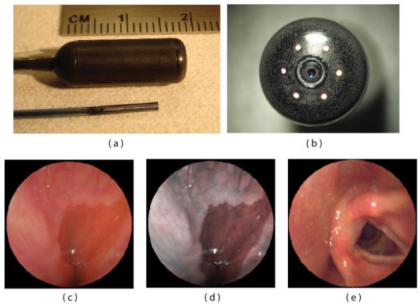 Figure 14