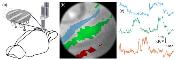 Figure 18