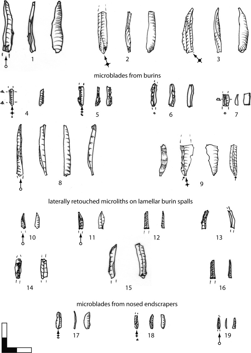 Fig 22