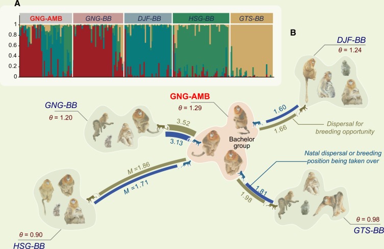 Figure 2.