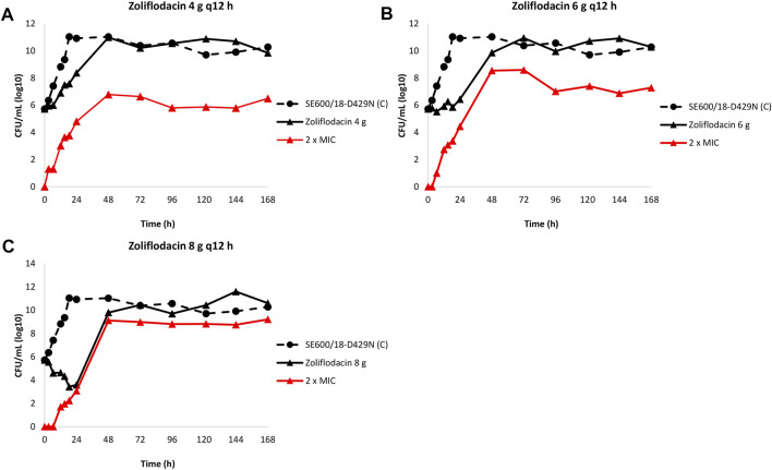 FIGURE 3