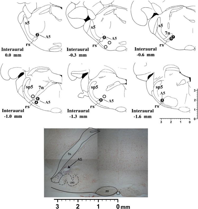 Fig. 4