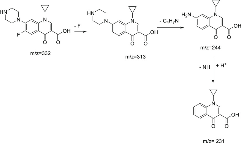 Figure 12