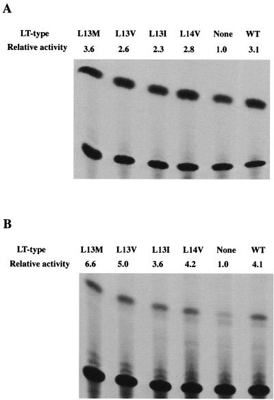 FIG. 5