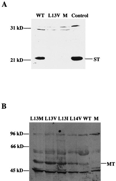 FIG. 6