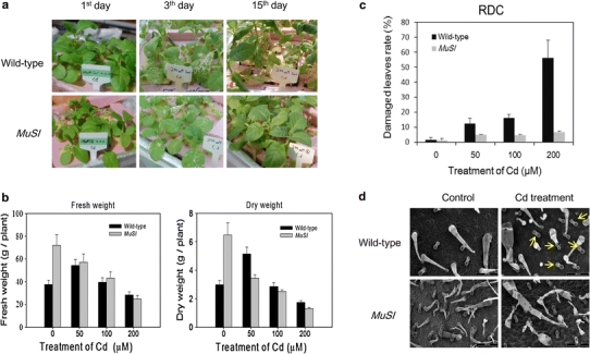 Fig. 2