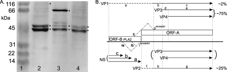 Fig. 5.