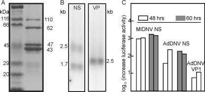 Fig. 2.