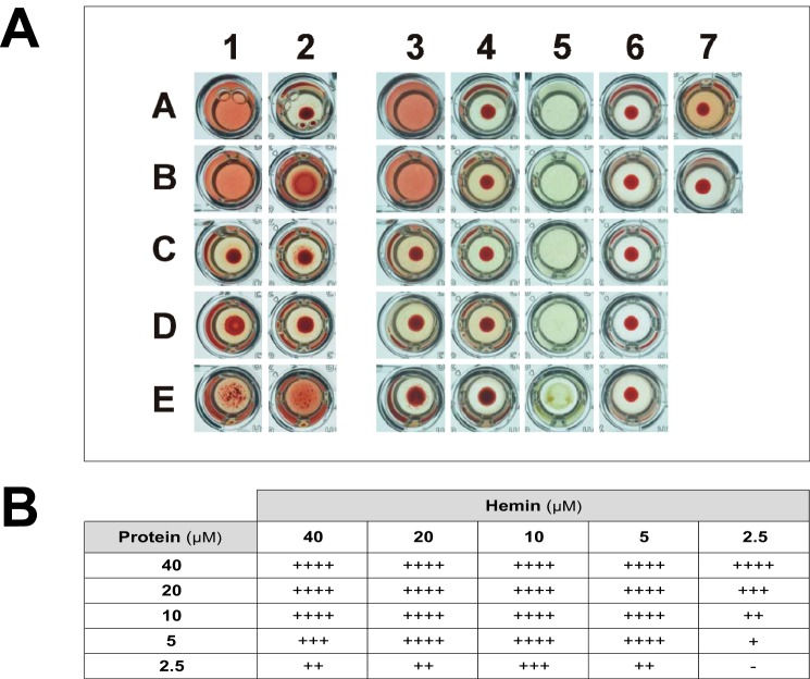 Figure 11.