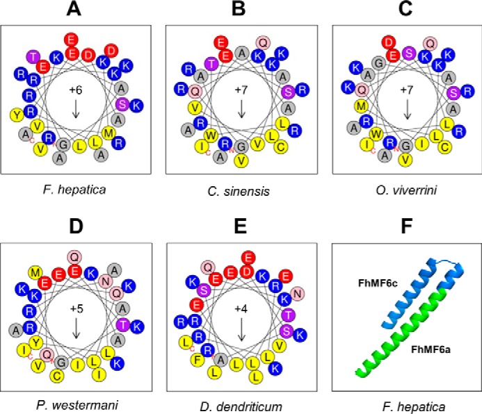 Figure 13.