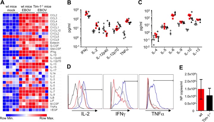 FIG 2 