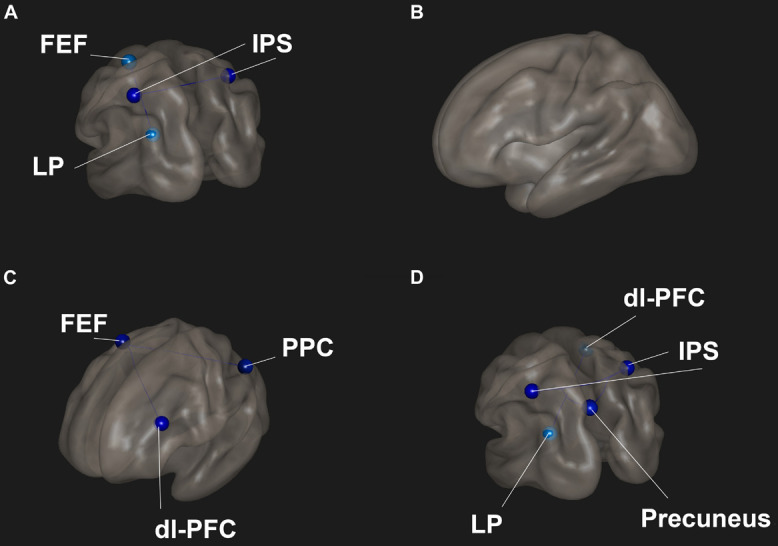 FIGURE 3