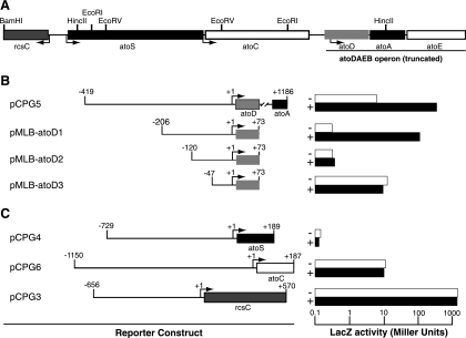 FIG. 1.