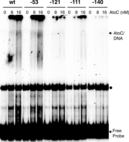 FIG. 6.