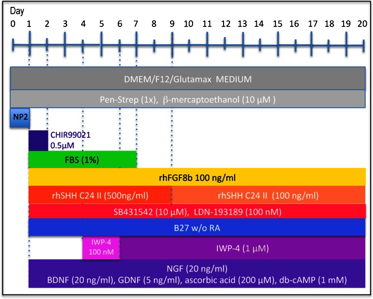 Fig. 2