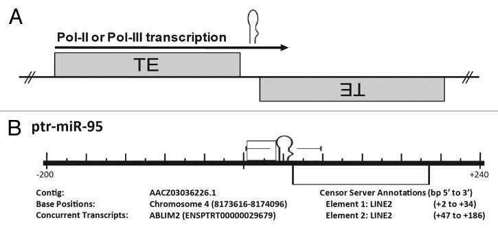 graphic file with name mge-3-e27755-g1.jpg