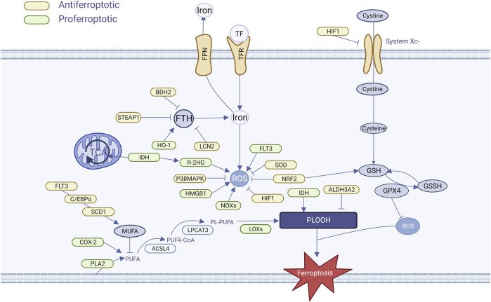 FIGURE 2