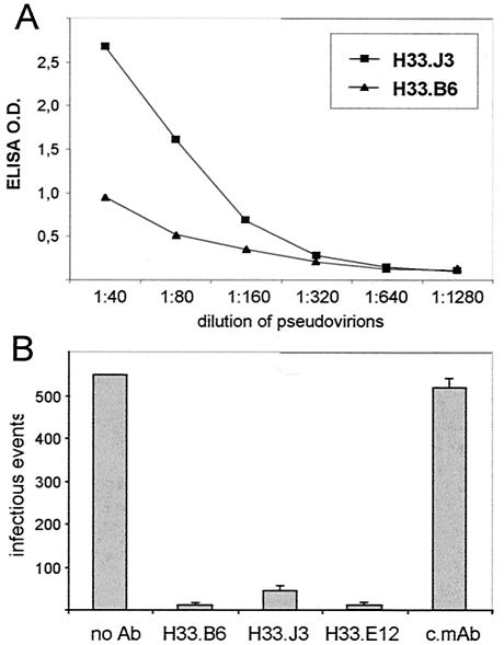 FIG. 5.