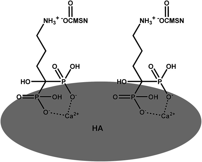 Scheme 3