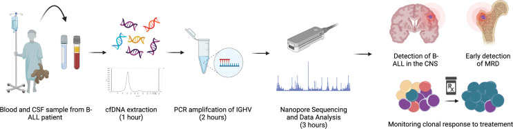 Figure 1