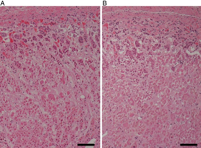 Figure 7