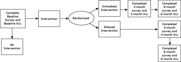 This flowchart shows how and when trial participants entered the trial and received the intervention. After completing the baseline survey and having HbA1c tested, recruits were randomly assigned into 2 groups; one received the immediate intervention and one received the delayed intervention. Both groups had a second HbA1c test at 3 months postrandomization. Participants in the delayed intervention group began receiving the intervention at the trial’s 3-month time point. All participants completed a final survey and had a final HbA1c test at the 6-month time point.