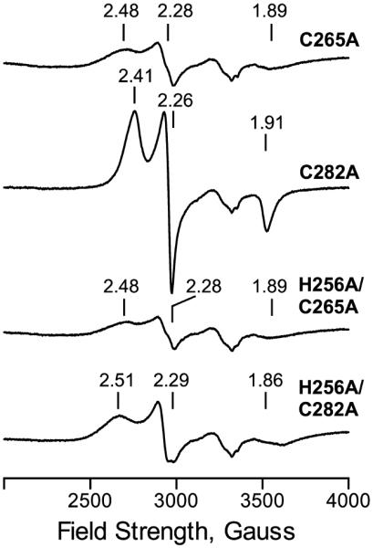 Figure 4