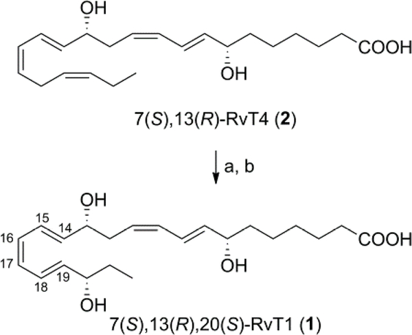 Scheme 4.