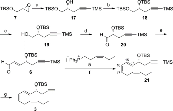 Scheme 2.