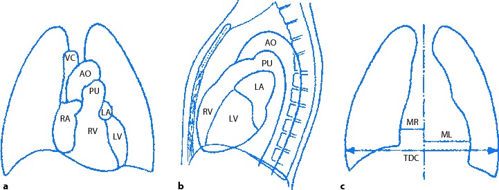 graphic file with name 978-3-642-33108-4_1_Fig35_HTML.jpg