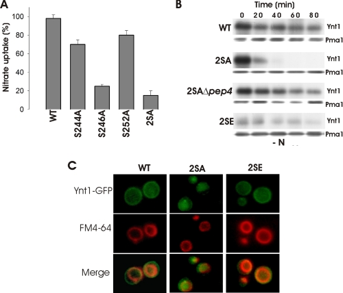 FIGURE 3.