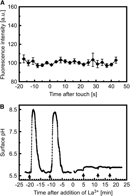 Figure 9.