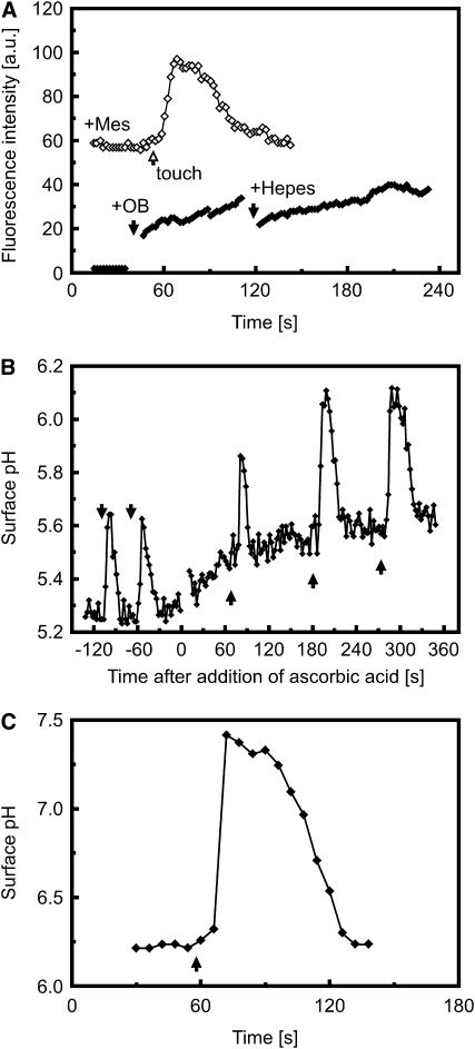 Figure 7.