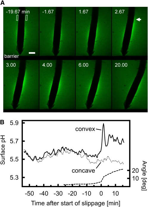 Figure 5.