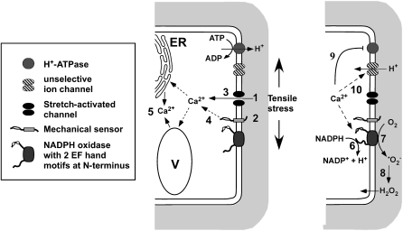 Figure 10.