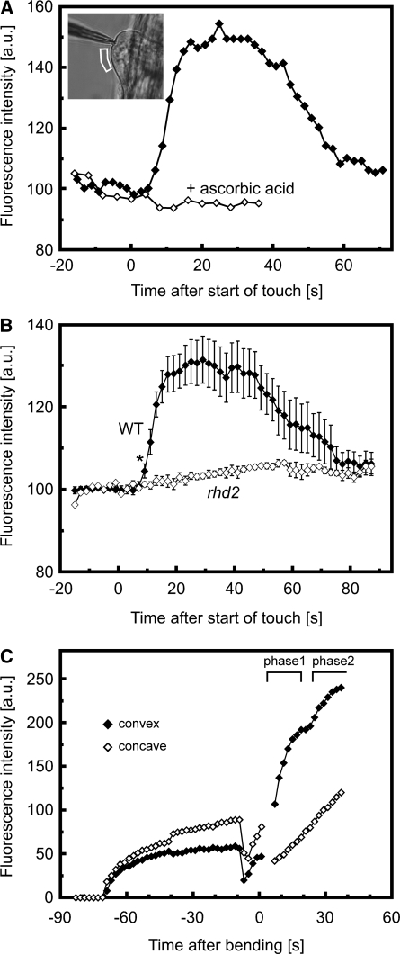 Figure 6.