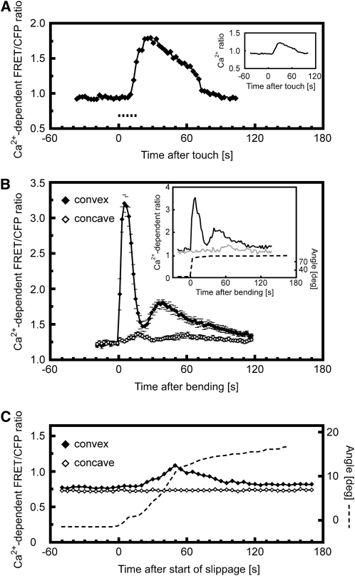 Figure 2.