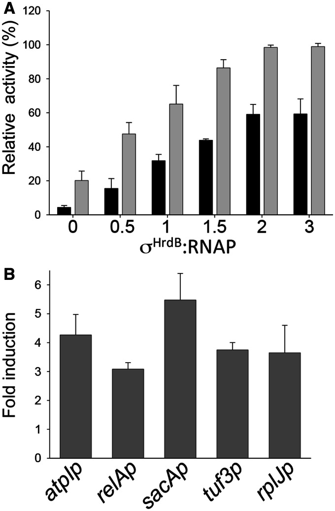 Figure 1.