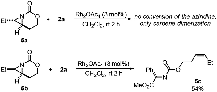 Scheme 5.