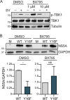 FIG 6