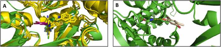 Fig. 8