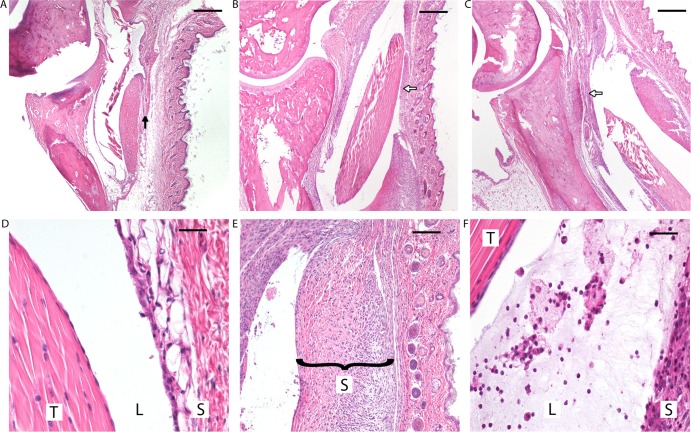 FIG 3