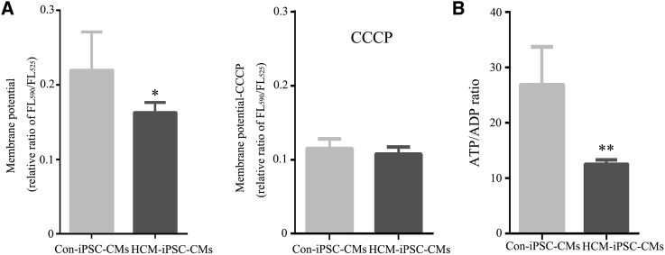 Figure 5