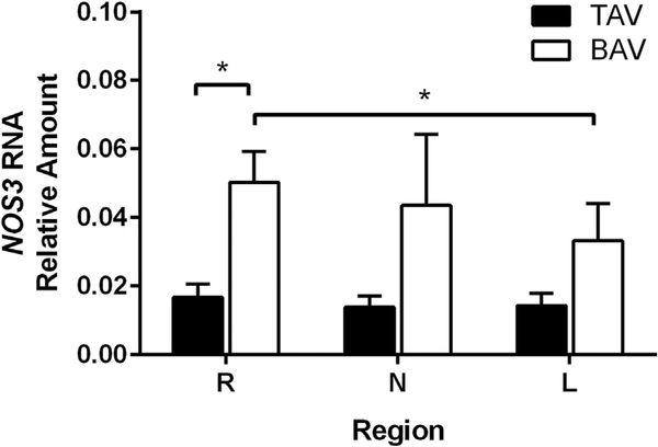 Fig 1.