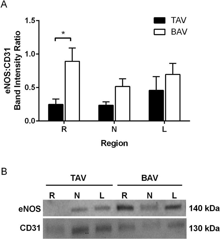 Fig 2.