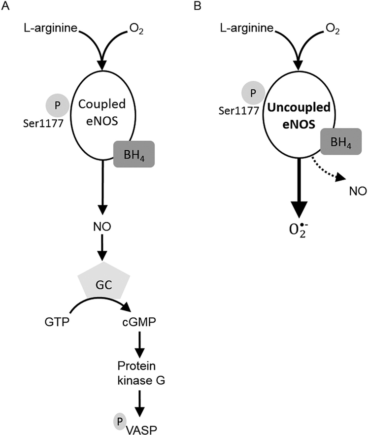 Fig 5.