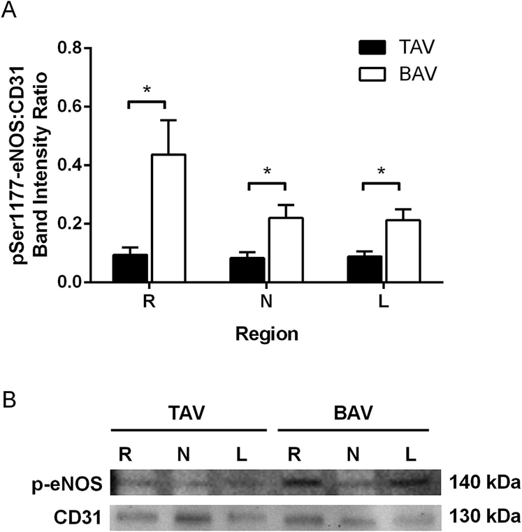 Fig 3.