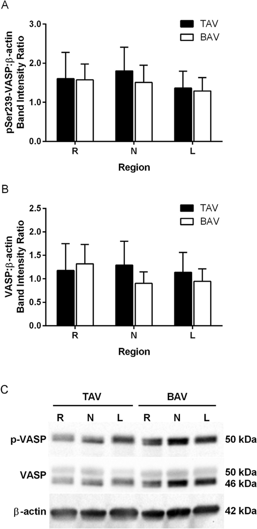 Fig 4.