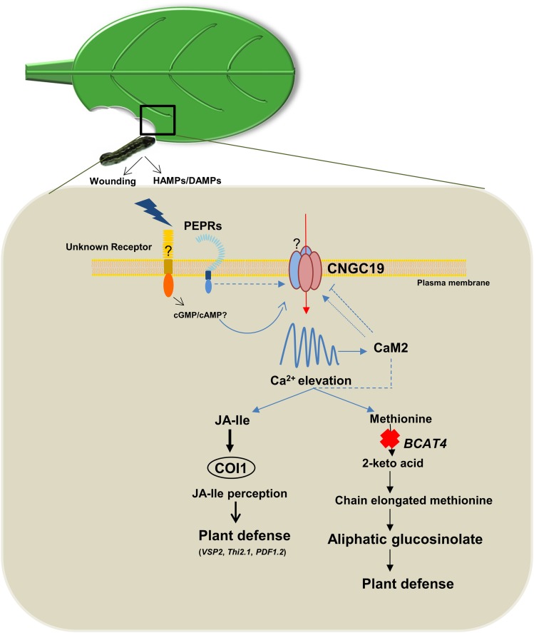 Figure 10.